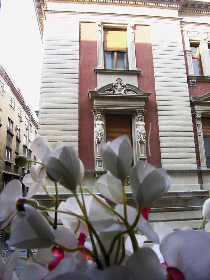 Apartment Danijela-City Centar Belgrad Exterior foto